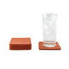 Coasters Coral (Set 5)